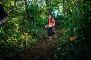 BIB: 
                            <button type="button" onclick="openModal(22731555)" class="btn btn-primary btn-sm float-right btn-popup" data-toggle="modal" data-target=".modal-high-quality">
                        <i class="fas fa-shopping-cart"></i> Add to Cart
                    </button>
                                            <button type="button" onclick="isThisMe(22731555, true)" class="btn btn-success btn-sm float-right btn-popup btn-isme hidden" data-toggle="tooltip" data-placement="bottom" title="นี่คือรูปของคุณใช่ไหม คลิกที่นี่เพื่อเอาเข้าอัลบั้ม">
                        <i class="fas fa-plus"></i> Add to album
                    </button>
                    <button type="button" onclick="isThisMe(22731555, false)" class="btn btn-warning btn-sm float-right btn-popup btn-isnotme hidden">
                        <i class="fas fa-ban"></i> Remove from album
                    </button>