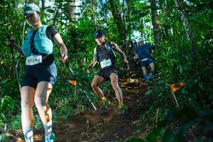 BIB: 3034, 2038
                            <button type="button" onclick="openModal(22735941)" class="btn btn-primary btn-sm float-right btn-popup" data-toggle="modal" data-target=".modal-high-quality">
                        <i class="fas fa-shopping-cart"></i> Add to Cart
                    </button>
                                            <button type="button" onclick="isThisMe(22735941, true)" class="btn btn-success btn-sm float-right btn-popup btn-isme hidden" data-toggle="tooltip" data-placement="bottom" title="นี่คือรูปของคุณใช่ไหม คลิกที่นี่เพื่อเอาเข้าอัลบั้ม">
                        <i class="fas fa-plus"></i> Add to album
                    </button>
                    <button type="button" onclick="isThisMe(22735941, false)" class="btn btn-warning btn-sm float-right btn-popup btn-isnotme hidden">
                        <i class="fas fa-ban"></i> Remove from album
                    </button>