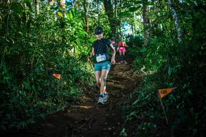 BIB: 
                            <button type="button" onclick="openModal(22733409)" class="btn btn-primary btn-sm float-right btn-popup" data-toggle="modal" data-target=".modal-high-quality">
                        <i class="fas fa-shopping-cart"></i> Add to Cart
                    </button>
                                            <button type="button" onclick="isThisMe(22733409, true)" class="btn btn-success btn-sm float-right btn-popup btn-isme hidden" data-toggle="tooltip" data-placement="bottom" title="นี่คือรูปของคุณใช่ไหม คลิกที่นี่เพื่อเอาเข้าอัลบั้ม">
                        <i class="fas fa-plus"></i> Add to album
                    </button>
                    <button type="button" onclick="isThisMe(22733409, false)" class="btn btn-warning btn-sm float-right btn-popup btn-isnotme hidden">
                        <i class="fas fa-ban"></i> Remove from album
                    </button>