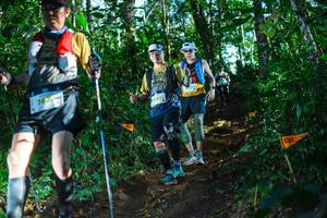 BIB: 201
                            <button type="button" onclick="openModal(22735845)" class="btn btn-primary btn-sm float-right btn-popup" data-toggle="modal" data-target=".modal-high-quality">
                        <i class="fas fa-shopping-cart"></i> Add to Cart
                    </button>
                                            <button type="button" onclick="isThisMe(22735845, true)" class="btn btn-success btn-sm float-right btn-popup btn-isme hidden" data-toggle="tooltip" data-placement="bottom" title="นี่คือรูปของคุณใช่ไหม คลิกที่นี่เพื่อเอาเข้าอัลบั้ม">
                        <i class="fas fa-plus"></i> Add to album
                    </button>
                    <button type="button" onclick="isThisMe(22735845, false)" class="btn btn-warning btn-sm float-right btn-popup btn-isnotme hidden">
                        <i class="fas fa-ban"></i> Remove from album
                    </button>