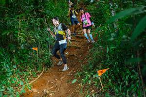 BIB: 3431
                            <button type="button" onclick="openModal(22739452)" class="btn btn-primary btn-sm float-right btn-popup" data-toggle="modal" data-target=".modal-high-quality">
                        <i class="fas fa-shopping-cart"></i> Add to Cart
                    </button>
                                            <button type="button" onclick="isThisMe(22739452, true)" class="btn btn-success btn-sm float-right btn-popup btn-isme hidden" data-toggle="tooltip" data-placement="bottom" title="นี่คือรูปของคุณใช่ไหม คลิกที่นี่เพื่อเอาเข้าอัลบั้ม">
                        <i class="fas fa-plus"></i> Add to album
                    </button>
                    <button type="button" onclick="isThisMe(22739452, false)" class="btn btn-warning btn-sm float-right btn-popup btn-isnotme hidden">
                        <i class="fas fa-ban"></i> Remove from album
                    </button>