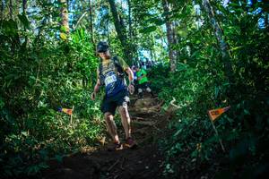 BIB: 2754
                            <button type="button" onclick="openModal(22733189)" class="btn btn-primary btn-sm float-right btn-popup" data-toggle="modal" data-target=".modal-high-quality">
                        <i class="fas fa-shopping-cart"></i> Add to Cart
                    </button>
                                            <button type="button" onclick="isThisMe(22733189, true)" class="btn btn-success btn-sm float-right btn-popup btn-isme hidden" data-toggle="tooltip" data-placement="bottom" title="นี่คือรูปของคุณใช่ไหม คลิกที่นี่เพื่อเอาเข้าอัลบั้ม">
                        <i class="fas fa-plus"></i> Add to album
                    </button>
                    <button type="button" onclick="isThisMe(22733189, false)" class="btn btn-warning btn-sm float-right btn-popup btn-isnotme hidden">
                        <i class="fas fa-ban"></i> Remove from album
                    </button>