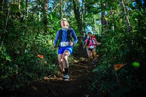 BIB: 
                            <button type="button" onclick="openModal(22735617)" class="btn btn-primary btn-sm float-right btn-popup" data-toggle="modal" data-target=".modal-high-quality">
                        <i class="fas fa-shopping-cart"></i> Add to Cart
                    </button>
                                            <button type="button" onclick="isThisMe(22735617, true)" class="btn btn-success btn-sm float-right btn-popup btn-isme hidden" data-toggle="tooltip" data-placement="bottom" title="นี่คือรูปของคุณใช่ไหม คลิกที่นี่เพื่อเอาเข้าอัลบั้ม">
                        <i class="fas fa-plus"></i> Add to album
                    </button>
                    <button type="button" onclick="isThisMe(22735617, false)" class="btn btn-warning btn-sm float-right btn-popup btn-isnotme hidden">
                        <i class="fas fa-ban"></i> Remove from album
                    </button>