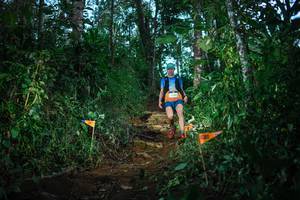 BIB: 
                            <button type="button" onclick="openModal(22728056)" class="btn btn-primary btn-sm float-right btn-popup" data-toggle="modal" data-target=".modal-high-quality">
                        <i class="fas fa-shopping-cart"></i> Add to Cart
                    </button>
                                            <button type="button" onclick="isThisMe(22728056, true)" class="btn btn-success btn-sm float-right btn-popup btn-isme hidden" data-toggle="tooltip" data-placement="bottom" title="นี่คือรูปของคุณใช่ไหม คลิกที่นี่เพื่อเอาเข้าอัลบั้ม">
                        <i class="fas fa-plus"></i> Add to album
                    </button>
                    <button type="button" onclick="isThisMe(22728056, false)" class="btn btn-warning btn-sm float-right btn-popup btn-isnotme hidden">
                        <i class="fas fa-ban"></i> Remove from album
                    </button>