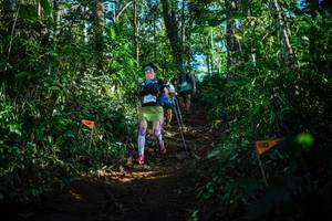 BIB: 
                            <button type="button" onclick="openModal(22735623)" class="btn btn-primary btn-sm float-right btn-popup" data-toggle="modal" data-target=".modal-high-quality">
                        <i class="fas fa-shopping-cart"></i> Add to Cart
                    </button>
                                            <button type="button" onclick="isThisMe(22735623, true)" class="btn btn-success btn-sm float-right btn-popup btn-isme hidden" data-toggle="tooltip" data-placement="bottom" title="นี่คือรูปของคุณใช่ไหม คลิกที่นี่เพื่อเอาเข้าอัลบั้ม">
                        <i class="fas fa-plus"></i> Add to album
                    </button>
                    <button type="button" onclick="isThisMe(22735623, false)" class="btn btn-warning btn-sm float-right btn-popup btn-isnotme hidden">
                        <i class="fas fa-ban"></i> Remove from album
                    </button>