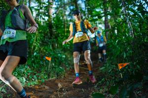 BIB: 513
                            <button type="button" onclick="openModal(22736746)" class="btn btn-primary btn-sm float-right btn-popup" data-toggle="modal" data-target=".modal-high-quality">
                        <i class="fas fa-shopping-cart"></i> Add to Cart
                    </button>
                                            <button type="button" onclick="isThisMe(22736746, true)" class="btn btn-success btn-sm float-right btn-popup btn-isme hidden" data-toggle="tooltip" data-placement="bottom" title="นี่คือรูปของคุณใช่ไหม คลิกที่นี่เพื่อเอาเข้าอัลบั้ม">
                        <i class="fas fa-plus"></i> Add to album
                    </button>
                    <button type="button" onclick="isThisMe(22736746, false)" class="btn btn-warning btn-sm float-right btn-popup btn-isnotme hidden">
                        <i class="fas fa-ban"></i> Remove from album
                    </button>