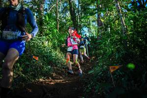 BIB: 2136, 215
                            <button type="button" onclick="openModal(22735618)" class="btn btn-primary btn-sm float-right btn-popup" data-toggle="modal" data-target=".modal-high-quality">
                        <i class="fas fa-shopping-cart"></i> Add to Cart
                    </button>
                                            <button type="button" onclick="isThisMe(22735618, true)" class="btn btn-success btn-sm float-right btn-popup btn-isme hidden" data-toggle="tooltip" data-placement="bottom" title="นี่คือรูปของคุณใช่ไหม คลิกที่นี่เพื่อเอาเข้าอัลบั้ม">
                        <i class="fas fa-plus"></i> Add to album
                    </button>
                    <button type="button" onclick="isThisMe(22735618, false)" class="btn btn-warning btn-sm float-right btn-popup btn-isnotme hidden">
                        <i class="fas fa-ban"></i> Remove from album
                    </button>