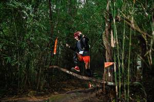 BIB: 
                            <button type="button" onclick="openModal(22612869)" class="btn btn-primary btn-sm float-right btn-popup" data-toggle="modal" data-target=".modal-high-quality">
                        <i class="fas fa-shopping-cart"></i> Add to Cart
                    </button>
                                            <button type="button" onclick="isThisMe(22612869, true)" class="btn btn-success btn-sm float-right btn-popup btn-isme hidden" data-toggle="tooltip" data-placement="bottom" title="นี่คือรูปของคุณใช่ไหม คลิกที่นี่เพื่อเอาเข้าอัลบั้ม">
                        <i class="fas fa-plus"></i> Add to album
                    </button>
                    <button type="button" onclick="isThisMe(22612869, false)" class="btn btn-warning btn-sm float-right btn-popup btn-isnotme hidden">
                        <i class="fas fa-ban"></i> Remove from album
                    </button>