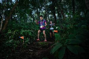 BIB: 
                            <button type="button" onclick="openModal(22669119)" class="btn btn-primary btn-sm float-right btn-popup" data-toggle="modal" data-target=".modal-high-quality">
                        <i class="fas fa-shopping-cart"></i> Add to Cart
                    </button>
                                            <button type="button" onclick="isThisMe(22669119, true)" class="btn btn-success btn-sm float-right btn-popup btn-isme hidden" data-toggle="tooltip" data-placement="bottom" title="นี่คือรูปของคุณใช่ไหม คลิกที่นี่เพื่อเอาเข้าอัลบั้ม">
                        <i class="fas fa-plus"></i> Add to album
                    </button>
                    <button type="button" onclick="isThisMe(22669119, false)" class="btn btn-warning btn-sm float-right btn-popup btn-isnotme hidden">
                        <i class="fas fa-ban"></i> Remove from album
                    </button>