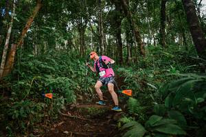 BIB: 
                            <button type="button" onclick="openModal(22686398)" class="btn btn-primary btn-sm float-right btn-popup" data-toggle="modal" data-target=".modal-high-quality">
                        <i class="fas fa-shopping-cart"></i> Add to Cart
                    </button>
                                            <button type="button" onclick="isThisMe(22686398, true)" class="btn btn-success btn-sm float-right btn-popup btn-isme hidden" data-toggle="tooltip" data-placement="bottom" title="นี่คือรูปของคุณใช่ไหม คลิกที่นี่เพื่อเอาเข้าอัลบั้ม">
                        <i class="fas fa-plus"></i> Add to album
                    </button>
                    <button type="button" onclick="isThisMe(22686398, false)" class="btn btn-warning btn-sm float-right btn-popup btn-isnotme hidden">
                        <i class="fas fa-ban"></i> Remove from album
                    </button>