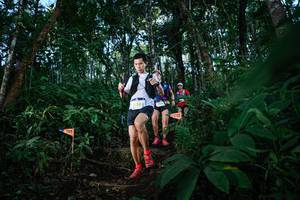 BIB: 
                            <button type="button" onclick="openModal(22671323)" class="btn btn-primary btn-sm float-right btn-popup" data-toggle="modal" data-target=".modal-high-quality">
                        <i class="fas fa-shopping-cart"></i> Add to Cart
                    </button>
                                            <button type="button" onclick="isThisMe(22671323, true)" class="btn btn-success btn-sm float-right btn-popup btn-isme hidden" data-toggle="tooltip" data-placement="bottom" title="นี่คือรูปของคุณใช่ไหม คลิกที่นี่เพื่อเอาเข้าอัลบั้ม">
                        <i class="fas fa-plus"></i> Add to album
                    </button>
                    <button type="button" onclick="isThisMe(22671323, false)" class="btn btn-warning btn-sm float-right btn-popup btn-isnotme hidden">
                        <i class="fas fa-ban"></i> Remove from album
                    </button>