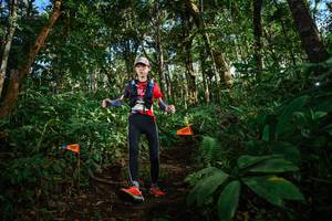 BIB: 
                            <button type="button" onclick="openModal(22683990)" class="btn btn-primary btn-sm float-right btn-popup" data-toggle="modal" data-target=".modal-high-quality">
                        <i class="fas fa-shopping-cart"></i> Add to Cart
                    </button>
                                            <button type="button" onclick="isThisMe(22683990, true)" class="btn btn-success btn-sm float-right btn-popup btn-isme hidden" data-toggle="tooltip" data-placement="bottom" title="นี่คือรูปของคุณใช่ไหม คลิกที่นี่เพื่อเอาเข้าอัลบั้ม">
                        <i class="fas fa-plus"></i> Add to album
                    </button>
                    <button type="button" onclick="isThisMe(22683990, false)" class="btn btn-warning btn-sm float-right btn-popup btn-isnotme hidden">
                        <i class="fas fa-ban"></i> Remove from album
                    </button>