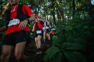 BIB: 2183, 130, 1392
                            <button type="button" onclick="openModal(22679587)" class="btn btn-primary btn-sm float-right btn-popup" data-toggle="modal" data-target=".modal-high-quality">
                        <i class="fas fa-shopping-cart"></i> Add to Cart
                    </button>
                                            <button type="button" onclick="isThisMe(22679587, true)" class="btn btn-success btn-sm float-right btn-popup btn-isme hidden" data-toggle="tooltip" data-placement="bottom" title="นี่คือรูปของคุณใช่ไหม คลิกที่นี่เพื่อเอาเข้าอัลบั้ม">
                        <i class="fas fa-plus"></i> Add to album
                    </button>
                    <button type="button" onclick="isThisMe(22679587, false)" class="btn btn-warning btn-sm float-right btn-popup btn-isnotme hidden">
                        <i class="fas fa-ban"></i> Remove from album
                    </button>