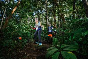 BIB: 
                            <button type="button" onclick="openModal(22682339)" class="btn btn-primary btn-sm float-right btn-popup" data-toggle="modal" data-target=".modal-high-quality">
                        <i class="fas fa-shopping-cart"></i> Add to Cart
                    </button>
                                            <button type="button" onclick="isThisMe(22682339, true)" class="btn btn-success btn-sm float-right btn-popup btn-isme hidden" data-toggle="tooltip" data-placement="bottom" title="นี่คือรูปของคุณใช่ไหม คลิกที่นี่เพื่อเอาเข้าอัลบั้ม">
                        <i class="fas fa-plus"></i> Add to album
                    </button>
                    <button type="button" onclick="isThisMe(22682339, false)" class="btn btn-warning btn-sm float-right btn-popup btn-isnotme hidden">
                        <i class="fas fa-ban"></i> Remove from album
                    </button>