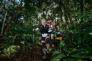 BIB: 2644, 
                            <button type="button" onclick="openModal(22684736)" class="btn btn-primary btn-sm float-right btn-popup" data-toggle="modal" data-target=".modal-high-quality">
                        <i class="fas fa-shopping-cart"></i> Add to Cart
                    </button>
                                            <button type="button" onclick="isThisMe(22684736, true)" class="btn btn-success btn-sm float-right btn-popup btn-isme hidden" data-toggle="tooltip" data-placement="bottom" title="นี่คือรูปของคุณใช่ไหม คลิกที่นี่เพื่อเอาเข้าอัลบั้ม">
                        <i class="fas fa-plus"></i> Add to album
                    </button>
                    <button type="button" onclick="isThisMe(22684736, false)" class="btn btn-warning btn-sm float-right btn-popup btn-isnotme hidden">
                        <i class="fas fa-ban"></i> Remove from album
                    </button>