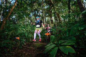 BIB: 
                            <button type="button" onclick="openModal(22683715)" class="btn btn-primary btn-sm float-right btn-popup" data-toggle="modal" data-target=".modal-high-quality">
                        <i class="fas fa-shopping-cart"></i> Add to Cart
                    </button>
                                            <button type="button" onclick="isThisMe(22683715, true)" class="btn btn-success btn-sm float-right btn-popup btn-isme hidden" data-toggle="tooltip" data-placement="bottom" title="นี่คือรูปของคุณใช่ไหม คลิกที่นี่เพื่อเอาเข้าอัลบั้ม">
                        <i class="fas fa-plus"></i> Add to album
                    </button>
                    <button type="button" onclick="isThisMe(22683715, false)" class="btn btn-warning btn-sm float-right btn-popup btn-isnotme hidden">
                        <i class="fas fa-ban"></i> Remove from album
                    </button>