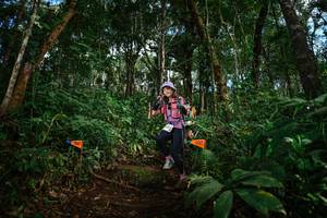 BIB: 309
                            <button type="button" onclick="openModal(22685421)" class="btn btn-primary btn-sm float-right btn-popup" data-toggle="modal" data-target=".modal-high-quality">
                        <i class="fas fa-shopping-cart"></i> Add to Cart
                    </button>
                                            <button type="button" onclick="isThisMe(22685421, true)" class="btn btn-success btn-sm float-right btn-popup btn-isme hidden" data-toggle="tooltip" data-placement="bottom" title="นี่คือรูปของคุณใช่ไหม คลิกที่นี่เพื่อเอาเข้าอัลบั้ม">
                        <i class="fas fa-plus"></i> Add to album
                    </button>
                    <button type="button" onclick="isThisMe(22685421, false)" class="btn btn-warning btn-sm float-right btn-popup btn-isnotme hidden">
                        <i class="fas fa-ban"></i> Remove from album
                    </button>