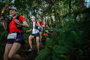 BIB: 3164
                            <button type="button" onclick="openModal(22682082)" class="btn btn-primary btn-sm float-right btn-popup" data-toggle="modal" data-target=".modal-high-quality">
                        <i class="fas fa-shopping-cart"></i> Add to Cart
                    </button>
                                            <button type="button" onclick="isThisMe(22682082, true)" class="btn btn-success btn-sm float-right btn-popup btn-isme hidden" data-toggle="tooltip" data-placement="bottom" title="นี่คือรูปของคุณใช่ไหม คลิกที่นี่เพื่อเอาเข้าอัลบั้ม">
                        <i class="fas fa-plus"></i> Add to album
                    </button>
                    <button type="button" onclick="isThisMe(22682082, false)" class="btn btn-warning btn-sm float-right btn-popup btn-isnotme hidden">
                        <i class="fas fa-ban"></i> Remove from album
                    </button>