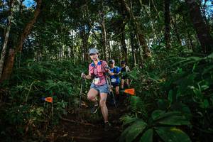 BIB: 
                            <button type="button" onclick="openModal(22685139)" class="btn btn-primary btn-sm float-right btn-popup" data-toggle="modal" data-target=".modal-high-quality">
                        <i class="fas fa-shopping-cart"></i> Add to Cart
                    </button>
                                            <button type="button" onclick="isThisMe(22685139, true)" class="btn btn-success btn-sm float-right btn-popup btn-isme hidden" data-toggle="tooltip" data-placement="bottom" title="นี่คือรูปของคุณใช่ไหม คลิกที่นี่เพื่อเอาเข้าอัลบั้ม">
                        <i class="fas fa-plus"></i> Add to album
                    </button>
                    <button type="button" onclick="isThisMe(22685139, false)" class="btn btn-warning btn-sm float-right btn-popup btn-isnotme hidden">
                        <i class="fas fa-ban"></i> Remove from album
                    </button>