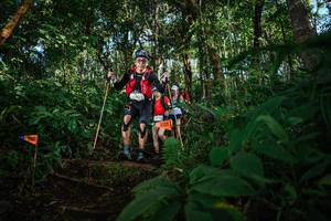 BIB: 
                            <button type="button" onclick="openModal(22682057)" class="btn btn-primary btn-sm float-right btn-popup" data-toggle="modal" data-target=".modal-high-quality">
                        <i class="fas fa-shopping-cart"></i> Add to Cart
                    </button>
                                            <button type="button" onclick="isThisMe(22682057, true)" class="btn btn-success btn-sm float-right btn-popup btn-isme hidden" data-toggle="tooltip" data-placement="bottom" title="นี่คือรูปของคุณใช่ไหม คลิกที่นี่เพื่อเอาเข้าอัลบั้ม">
                        <i class="fas fa-plus"></i> Add to album
                    </button>
                    <button type="button" onclick="isThisMe(22682057, false)" class="btn btn-warning btn-sm float-right btn-popup btn-isnotme hidden">
                        <i class="fas fa-ban"></i> Remove from album
                    </button>