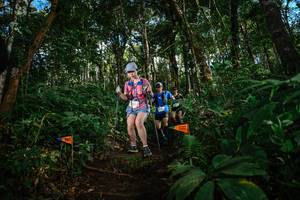 BIB: 
                            <button type="button" onclick="openModal(22685127)" class="btn btn-primary btn-sm float-right btn-popup" data-toggle="modal" data-target=".modal-high-quality">
                        <i class="fas fa-shopping-cart"></i> Add to Cart
                    </button>
                                            <button type="button" onclick="isThisMe(22685127, true)" class="btn btn-success btn-sm float-right btn-popup btn-isme hidden" data-toggle="tooltip" data-placement="bottom" title="นี่คือรูปของคุณใช่ไหม คลิกที่นี่เพื่อเอาเข้าอัลบั้ม">
                        <i class="fas fa-plus"></i> Add to album
                    </button>
                    <button type="button" onclick="isThisMe(22685127, false)" class="btn btn-warning btn-sm float-right btn-popup btn-isnotme hidden">
                        <i class="fas fa-ban"></i> Remove from album
                    </button>