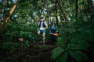 BIB: 
                            <button type="button" onclick="openModal(22681183)" class="btn btn-primary btn-sm float-right btn-popup" data-toggle="modal" data-target=".modal-high-quality">
                        <i class="fas fa-shopping-cart"></i> Add to Cart
                    </button>
                                            <button type="button" onclick="isThisMe(22681183, true)" class="btn btn-success btn-sm float-right btn-popup btn-isme hidden" data-toggle="tooltip" data-placement="bottom" title="นี่คือรูปของคุณใช่ไหม คลิกที่นี่เพื่อเอาเข้าอัลบั้ม">
                        <i class="fas fa-plus"></i> Add to album
                    </button>
                    <button type="button" onclick="isThisMe(22681183, false)" class="btn btn-warning btn-sm float-right btn-popup btn-isnotme hidden">
                        <i class="fas fa-ban"></i> Remove from album
                    </button>