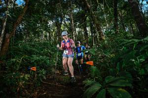 BIB: 
                            <button type="button" onclick="openModal(22685132)" class="btn btn-primary btn-sm float-right btn-popup" data-toggle="modal" data-target=".modal-high-quality">
                        <i class="fas fa-shopping-cart"></i> Add to Cart
                    </button>
                                            <button type="button" onclick="isThisMe(22685132, true)" class="btn btn-success btn-sm float-right btn-popup btn-isme hidden" data-toggle="tooltip" data-placement="bottom" title="นี่คือรูปของคุณใช่ไหม คลิกที่นี่เพื่อเอาเข้าอัลบั้ม">
                        <i class="fas fa-plus"></i> Add to album
                    </button>
                    <button type="button" onclick="isThisMe(22685132, false)" class="btn btn-warning btn-sm float-right btn-popup btn-isnotme hidden">
                        <i class="fas fa-ban"></i> Remove from album
                    </button>