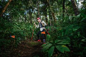 BIB: 
                            <button type="button" onclick="openModal(22683454)" class="btn btn-primary btn-sm float-right btn-popup" data-toggle="modal" data-target=".modal-high-quality">
                        <i class="fas fa-shopping-cart"></i> Add to Cart
                    </button>
                                            <button type="button" onclick="isThisMe(22683454, true)" class="btn btn-success btn-sm float-right btn-popup btn-isme hidden" data-toggle="tooltip" data-placement="bottom" title="นี่คือรูปของคุณใช่ไหม คลิกที่นี่เพื่อเอาเข้าอัลบั้ม">
                        <i class="fas fa-plus"></i> Add to album
                    </button>
                    <button type="button" onclick="isThisMe(22683454, false)" class="btn btn-warning btn-sm float-right btn-popup btn-isnotme hidden">
                        <i class="fas fa-ban"></i> Remove from album
                    </button>