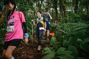 BIB: 1998
                            <button type="button" onclick="openModal(22686546)" class="btn btn-primary btn-sm float-right btn-popup" data-toggle="modal" data-target=".modal-high-quality">
                        <i class="fas fa-shopping-cart"></i> Add to Cart
                    </button>
                                            <button type="button" onclick="isThisMe(22686546, true)" class="btn btn-success btn-sm float-right btn-popup btn-isme hidden" data-toggle="tooltip" data-placement="bottom" title="นี่คือรูปของคุณใช่ไหม คลิกที่นี่เพื่อเอาเข้าอัลบั้ม">
                        <i class="fas fa-plus"></i> Add to album
                    </button>
                    <button type="button" onclick="isThisMe(22686546, false)" class="btn btn-warning btn-sm float-right btn-popup btn-isnotme hidden">
                        <i class="fas fa-ban"></i> Remove from album
                    </button>