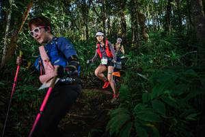 BIB: 
                            <button type="button" onclick="openModal(22681914)" class="btn btn-primary btn-sm float-right btn-popup" data-toggle="modal" data-target=".modal-high-quality">
                        <i class="fas fa-shopping-cart"></i> Add to Cart
                    </button>
                                            <button type="button" onclick="isThisMe(22681914, true)" class="btn btn-success btn-sm float-right btn-popup btn-isme hidden" data-toggle="tooltip" data-placement="bottom" title="นี่คือรูปของคุณใช่ไหม คลิกที่นี่เพื่อเอาเข้าอัลบั้ม">
                        <i class="fas fa-plus"></i> Add to album
                    </button>
                    <button type="button" onclick="isThisMe(22681914, false)" class="btn btn-warning btn-sm float-right btn-popup btn-isnotme hidden">
                        <i class="fas fa-ban"></i> Remove from album
                    </button>