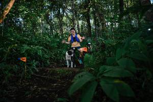 BIB: 
                            <button type="button" onclick="openModal(22678404)" class="btn btn-primary btn-sm float-right btn-popup" data-toggle="modal" data-target=".modal-high-quality">
                        <i class="fas fa-shopping-cart"></i> Add to Cart
                    </button>
                                            <button type="button" onclick="isThisMe(22678404, true)" class="btn btn-success btn-sm float-right btn-popup btn-isme hidden" data-toggle="tooltip" data-placement="bottom" title="นี่คือรูปของคุณใช่ไหม คลิกที่นี่เพื่อเอาเข้าอัลบั้ม">
                        <i class="fas fa-plus"></i> Add to album
                    </button>
                    <button type="button" onclick="isThisMe(22678404, false)" class="btn btn-warning btn-sm float-right btn-popup btn-isnotme hidden">
                        <i class="fas fa-ban"></i> Remove from album
                    </button>