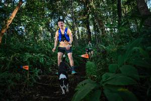 BIB: 
                            <button type="button" onclick="openModal(22678460)" class="btn btn-primary btn-sm float-right btn-popup" data-toggle="modal" data-target=".modal-high-quality">
                        <i class="fas fa-shopping-cart"></i> Add to Cart
                    </button>
                                            <button type="button" onclick="isThisMe(22678460, true)" class="btn btn-success btn-sm float-right btn-popup btn-isme hidden" data-toggle="tooltip" data-placement="bottom" title="นี่คือรูปของคุณใช่ไหม คลิกที่นี่เพื่อเอาเข้าอัลบั้ม">
                        <i class="fas fa-plus"></i> Add to album
                    </button>
                    <button type="button" onclick="isThisMe(22678460, false)" class="btn btn-warning btn-sm float-right btn-popup btn-isnotme hidden">
                        <i class="fas fa-ban"></i> Remove from album
                    </button>