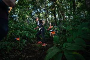 BIB: 
                            <button type="button" onclick="openModal(22678340)" class="btn btn-primary btn-sm float-right btn-popup" data-toggle="modal" data-target=".modal-high-quality">
                        <i class="fas fa-shopping-cart"></i> Add to Cart
                    </button>
                                            <button type="button" onclick="isThisMe(22678340, true)" class="btn btn-success btn-sm float-right btn-popup btn-isme hidden" data-toggle="tooltip" data-placement="bottom" title="นี่คือรูปของคุณใช่ไหม คลิกที่นี่เพื่อเอาเข้าอัลบั้ม">
                        <i class="fas fa-plus"></i> Add to album
                    </button>
                    <button type="button" onclick="isThisMe(22678340, false)" class="btn btn-warning btn-sm float-right btn-popup btn-isnotme hidden">
                        <i class="fas fa-ban"></i> Remove from album
                    </button>