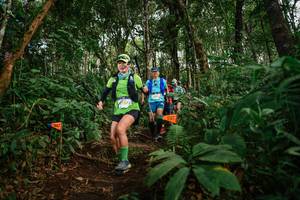 BIB: 5579
                            <button type="button" onclick="openModal(22686184)" class="btn btn-primary btn-sm float-right btn-popup" data-toggle="modal" data-target=".modal-high-quality">
                        <i class="fas fa-shopping-cart"></i> Add to Cart
                    </button>
                                            <button type="button" onclick="isThisMe(22686184, true)" class="btn btn-success btn-sm float-right btn-popup btn-isme hidden" data-toggle="tooltip" data-placement="bottom" title="นี่คือรูปของคุณใช่ไหม คลิกที่นี่เพื่อเอาเข้าอัลบั้ม">
                        <i class="fas fa-plus"></i> Add to album
                    </button>
                    <button type="button" onclick="isThisMe(22686184, false)" class="btn btn-warning btn-sm float-right btn-popup btn-isnotme hidden">
                        <i class="fas fa-ban"></i> Remove from album
                    </button>