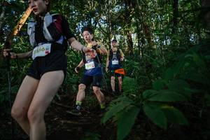 BIB: 2035
                            <button type="button" onclick="openModal(22681704)" class="btn btn-primary btn-sm float-right btn-popup" data-toggle="modal" data-target=".modal-high-quality">
                        <i class="fas fa-shopping-cart"></i> Add to Cart
                    </button>
                                            <button type="button" onclick="isThisMe(22681704, true)" class="btn btn-success btn-sm float-right btn-popup btn-isme hidden" data-toggle="tooltip" data-placement="bottom" title="นี่คือรูปของคุณใช่ไหม คลิกที่นี่เพื่อเอาเข้าอัลบั้ม">
                        <i class="fas fa-plus"></i> Add to album
                    </button>
                    <button type="button" onclick="isThisMe(22681704, false)" class="btn btn-warning btn-sm float-right btn-popup btn-isnotme hidden">
                        <i class="fas fa-ban"></i> Remove from album
                    </button>