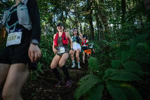 BIB: 327, 241
                            <button type="button" onclick="openModal(22678470)" class="btn btn-primary btn-sm float-right btn-popup" data-toggle="modal" data-target=".modal-high-quality">
                        <i class="fas fa-shopping-cart"></i> Add to Cart
                    </button>
                                            <button type="button" onclick="isThisMe(22678470, true)" class="btn btn-success btn-sm float-right btn-popup btn-isme hidden" data-toggle="tooltip" data-placement="bottom" title="นี่คือรูปของคุณใช่ไหม คลิกที่นี่เพื่อเอาเข้าอัลบั้ม">
                        <i class="fas fa-plus"></i> Add to album
                    </button>
                    <button type="button" onclick="isThisMe(22678470, false)" class="btn btn-warning btn-sm float-right btn-popup btn-isnotme hidden">
                        <i class="fas fa-ban"></i> Remove from album
                    </button>