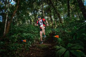 BIB: 
                            <button type="button" onclick="openModal(22685258)" class="btn btn-primary btn-sm float-right btn-popup" data-toggle="modal" data-target=".modal-high-quality">
                        <i class="fas fa-shopping-cart"></i> Add to Cart
                    </button>
                                            <button type="button" onclick="isThisMe(22685258, true)" class="btn btn-success btn-sm float-right btn-popup btn-isme hidden" data-toggle="tooltip" data-placement="bottom" title="นี่คือรูปของคุณใช่ไหม คลิกที่นี่เพื่อเอาเข้าอัลบั้ม">
                        <i class="fas fa-plus"></i> Add to album
                    </button>
                    <button type="button" onclick="isThisMe(22685258, false)" class="btn btn-warning btn-sm float-right btn-popup btn-isnotme hidden">
                        <i class="fas fa-ban"></i> Remove from album
                    </button>