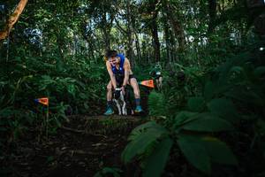 BIB: 
                            <button type="button" onclick="openModal(22678432)" class="btn btn-primary btn-sm float-right btn-popup" data-toggle="modal" data-target=".modal-high-quality">
                        <i class="fas fa-shopping-cart"></i> Add to Cart
                    </button>
                                            <button type="button" onclick="isThisMe(22678432, true)" class="btn btn-success btn-sm float-right btn-popup btn-isme hidden" data-toggle="tooltip" data-placement="bottom" title="นี่คือรูปของคุณใช่ไหม คลิกที่นี่เพื่อเอาเข้าอัลบั้ม">
                        <i class="fas fa-plus"></i> Add to album
                    </button>
                    <button type="button" onclick="isThisMe(22678432, false)" class="btn btn-warning btn-sm float-right btn-popup btn-isnotme hidden">
                        <i class="fas fa-ban"></i> Remove from album
                    </button>