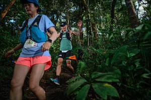 BIB: 
                            <button type="button" onclick="openModal(22683389)" class="btn btn-primary btn-sm float-right btn-popup" data-toggle="modal" data-target=".modal-high-quality">
                        <i class="fas fa-shopping-cart"></i> Add to Cart
                    </button>
                                            <button type="button" onclick="isThisMe(22683389, true)" class="btn btn-success btn-sm float-right btn-popup btn-isme hidden" data-toggle="tooltip" data-placement="bottom" title="นี่คือรูปของคุณใช่ไหม คลิกที่นี่เพื่อเอาเข้าอัลบั้ม">
                        <i class="fas fa-plus"></i> Add to album
                    </button>
                    <button type="button" onclick="isThisMe(22683389, false)" class="btn btn-warning btn-sm float-right btn-popup btn-isnotme hidden">
                        <i class="fas fa-ban"></i> Remove from album
                    </button>