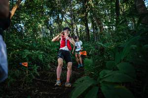 BIB: 
                            <button type="button" onclick="openModal(22678513)" class="btn btn-primary btn-sm float-right btn-popup" data-toggle="modal" data-target=".modal-high-quality">
                        <i class="fas fa-shopping-cart"></i> Add to Cart
                    </button>
                                            <button type="button" onclick="isThisMe(22678513, true)" class="btn btn-success btn-sm float-right btn-popup btn-isme hidden" data-toggle="tooltip" data-placement="bottom" title="นี่คือรูปของคุณใช่ไหม คลิกที่นี่เพื่อเอาเข้าอัลบั้ม">
                        <i class="fas fa-plus"></i> Add to album
                    </button>
                    <button type="button" onclick="isThisMe(22678513, false)" class="btn btn-warning btn-sm float-right btn-popup btn-isnotme hidden">
                        <i class="fas fa-ban"></i> Remove from album
                    </button>