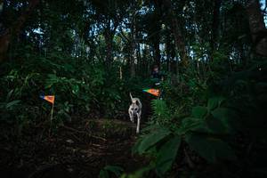 BIB: 
                            <button type="button" onclick="openModal(22670267)" class="btn btn-primary btn-sm float-right btn-popup" data-toggle="modal" data-target=".modal-high-quality">
                        <i class="fas fa-shopping-cart"></i> Add to Cart
                    </button>
                                            <button type="button" onclick="isThisMe(22670267, true)" class="btn btn-success btn-sm float-right btn-popup btn-isme hidden" data-toggle="tooltip" data-placement="bottom" title="นี่คือรูปของคุณใช่ไหม คลิกที่นี่เพื่อเอาเข้าอัลบั้ม">
                        <i class="fas fa-plus"></i> Add to album
                    </button>
                    <button type="button" onclick="isThisMe(22670267, false)" class="btn btn-warning btn-sm float-right btn-popup btn-isnotme hidden">
                        <i class="fas fa-ban"></i> Remove from album
                    </button>