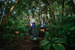 BIB: 
                            <button type="button" onclick="openModal(22682337)" class="btn btn-primary btn-sm float-right btn-popup" data-toggle="modal" data-target=".modal-high-quality">
                        <i class="fas fa-shopping-cart"></i> Add to Cart
                    </button>
                                            <button type="button" onclick="isThisMe(22682337, true)" class="btn btn-success btn-sm float-right btn-popup btn-isme hidden" data-toggle="tooltip" data-placement="bottom" title="นี่คือรูปของคุณใช่ไหม คลิกที่นี่เพื่อเอาเข้าอัลบั้ม">
                        <i class="fas fa-plus"></i> Add to album
                    </button>
                    <button type="button" onclick="isThisMe(22682337, false)" class="btn btn-warning btn-sm float-right btn-popup btn-isnotme hidden">
                        <i class="fas fa-ban"></i> Remove from album
                    </button>