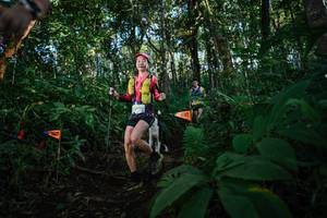 BIB: 256
                            <button type="button" onclick="openModal(22678403)" class="btn btn-primary btn-sm float-right btn-popup" data-toggle="modal" data-target=".modal-high-quality">
                        <i class="fas fa-shopping-cart"></i> Add to Cart
                    </button>
                                            <button type="button" onclick="isThisMe(22678403, true)" class="btn btn-success btn-sm float-right btn-popup btn-isme hidden" data-toggle="tooltip" data-placement="bottom" title="นี่คือรูปของคุณใช่ไหม คลิกที่นี่เพื่อเอาเข้าอัลบั้ม">
                        <i class="fas fa-plus"></i> Add to album
                    </button>
                    <button type="button" onclick="isThisMe(22678403, false)" class="btn btn-warning btn-sm float-right btn-popup btn-isnotme hidden">
                        <i class="fas fa-ban"></i> Remove from album
                    </button>