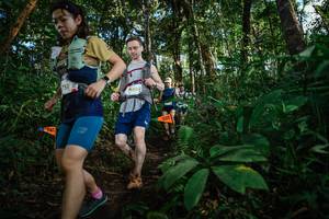 BIB: 868
                            <button type="button" onclick="openModal(22683529)" class="btn btn-primary btn-sm float-right btn-popup" data-toggle="modal" data-target=".modal-high-quality">
                        <i class="fas fa-shopping-cart"></i> Add to Cart
                    </button>
                                            <button type="button" onclick="isThisMe(22683529, true)" class="btn btn-success btn-sm float-right btn-popup btn-isme hidden" data-toggle="tooltip" data-placement="bottom" title="นี่คือรูปของคุณใช่ไหม คลิกที่นี่เพื่อเอาเข้าอัลบั้ม">
                        <i class="fas fa-plus"></i> Add to album
                    </button>
                    <button type="button" onclick="isThisMe(22683529, false)" class="btn btn-warning btn-sm float-right btn-popup btn-isnotme hidden">
                        <i class="fas fa-ban"></i> Remove from album
                    </button>