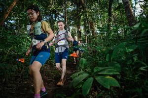 BIB: 186
                            <button type="button" onclick="openModal(22683528)" class="btn btn-primary btn-sm float-right btn-popup" data-toggle="modal" data-target=".modal-high-quality">
                        <i class="fas fa-shopping-cart"></i> Add to Cart
                    </button>
                                            <button type="button" onclick="isThisMe(22683528, true)" class="btn btn-success btn-sm float-right btn-popup btn-isme hidden" data-toggle="tooltip" data-placement="bottom" title="นี่คือรูปของคุณใช่ไหม คลิกที่นี่เพื่อเอาเข้าอัลบั้ม">
                        <i class="fas fa-plus"></i> Add to album
                    </button>
                    <button type="button" onclick="isThisMe(22683528, false)" class="btn btn-warning btn-sm float-right btn-popup btn-isnotme hidden">
                        <i class="fas fa-ban"></i> Remove from album
                    </button>