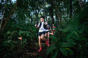 BIB: 9513
                            <button type="button" onclick="openModal(22671320)" class="btn btn-primary btn-sm float-right btn-popup" data-toggle="modal" data-target=".modal-high-quality">
                        <i class="fas fa-shopping-cart"></i> Add to Cart
                    </button>
                                            <button type="button" onclick="isThisMe(22671320, true)" class="btn btn-success btn-sm float-right btn-popup btn-isme hidden" data-toggle="tooltip" data-placement="bottom" title="นี่คือรูปของคุณใช่ไหม คลิกที่นี่เพื่อเอาเข้าอัลบั้ม">
                        <i class="fas fa-plus"></i> Add to album
                    </button>
                    <button type="button" onclick="isThisMe(22671320, false)" class="btn btn-warning btn-sm float-right btn-popup btn-isnotme hidden">
                        <i class="fas fa-ban"></i> Remove from album
                    </button>