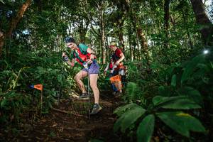 BIB: 136
                            <button type="button" onclick="openModal(22684374)" class="btn btn-primary btn-sm float-right btn-popup" data-toggle="modal" data-target=".modal-high-quality">
                        <i class="fas fa-shopping-cart"></i> Add to Cart
                    </button>
                                            <button type="button" onclick="isThisMe(22684374, true)" class="btn btn-success btn-sm float-right btn-popup btn-isme hidden" data-toggle="tooltip" data-placement="bottom" title="นี่คือรูปของคุณใช่ไหม คลิกที่นี่เพื่อเอาเข้าอัลบั้ม">
                        <i class="fas fa-plus"></i> Add to album
                    </button>
                    <button type="button" onclick="isThisMe(22684374, false)" class="btn btn-warning btn-sm float-right btn-popup btn-isnotme hidden">
                        <i class="fas fa-ban"></i> Remove from album
                    </button>