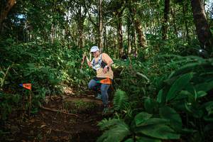 BIB: 
                            <button type="button" onclick="openModal(22684308)" class="btn btn-primary btn-sm float-right btn-popup" data-toggle="modal" data-target=".modal-high-quality">
                        <i class="fas fa-shopping-cart"></i> Add to Cart
                    </button>
                                            <button type="button" onclick="isThisMe(22684308, true)" class="btn btn-success btn-sm float-right btn-popup btn-isme hidden" data-toggle="tooltip" data-placement="bottom" title="นี่คือรูปของคุณใช่ไหม คลิกที่นี่เพื่อเอาเข้าอัลบั้ม">
                        <i class="fas fa-plus"></i> Add to album
                    </button>
                    <button type="button" onclick="isThisMe(22684308, false)" class="btn btn-warning btn-sm float-right btn-popup btn-isnotme hidden">
                        <i class="fas fa-ban"></i> Remove from album
                    </button>