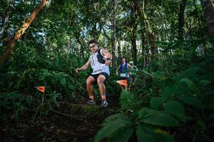 BIB: 
                            <button type="button" onclick="openModal(22680191)" class="btn btn-primary btn-sm float-right btn-popup" data-toggle="modal" data-target=".modal-high-quality">
                        <i class="fas fa-shopping-cart"></i> Add to Cart
                    </button>
                                            <button type="button" onclick="isThisMe(22680191, true)" class="btn btn-success btn-sm float-right btn-popup btn-isme hidden" data-toggle="tooltip" data-placement="bottom" title="นี่คือรูปของคุณใช่ไหม คลิกที่นี่เพื่อเอาเข้าอัลบั้ม">
                        <i class="fas fa-plus"></i> Add to album
                    </button>
                    <button type="button" onclick="isThisMe(22680191, false)" class="btn btn-warning btn-sm float-right btn-popup btn-isnotme hidden">
                        <i class="fas fa-ban"></i> Remove from album
                    </button>