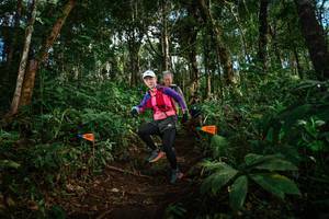 BIB: 
                            <button type="button" onclick="openModal(22685567)" class="btn btn-primary btn-sm float-right btn-popup" data-toggle="modal" data-target=".modal-high-quality">
                        <i class="fas fa-shopping-cart"></i> Add to Cart
                    </button>
                                            <button type="button" onclick="isThisMe(22685567, true)" class="btn btn-success btn-sm float-right btn-popup btn-isme hidden" data-toggle="tooltip" data-placement="bottom" title="นี่คือรูปของคุณใช่ไหม คลิกที่นี่เพื่อเอาเข้าอัลบั้ม">
                        <i class="fas fa-plus"></i> Add to album
                    </button>
                    <button type="button" onclick="isThisMe(22685567, false)" class="btn btn-warning btn-sm float-right btn-popup btn-isnotme hidden">
                        <i class="fas fa-ban"></i> Remove from album
                    </button>